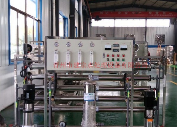 1 ton stainless steel double reverse osmosis equipment